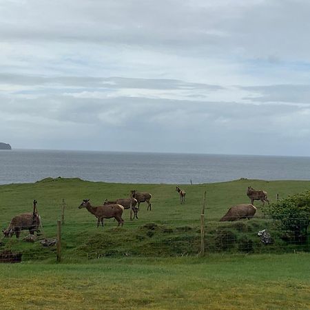 Coral Cabins Dunvegan  Pokoj fotografie