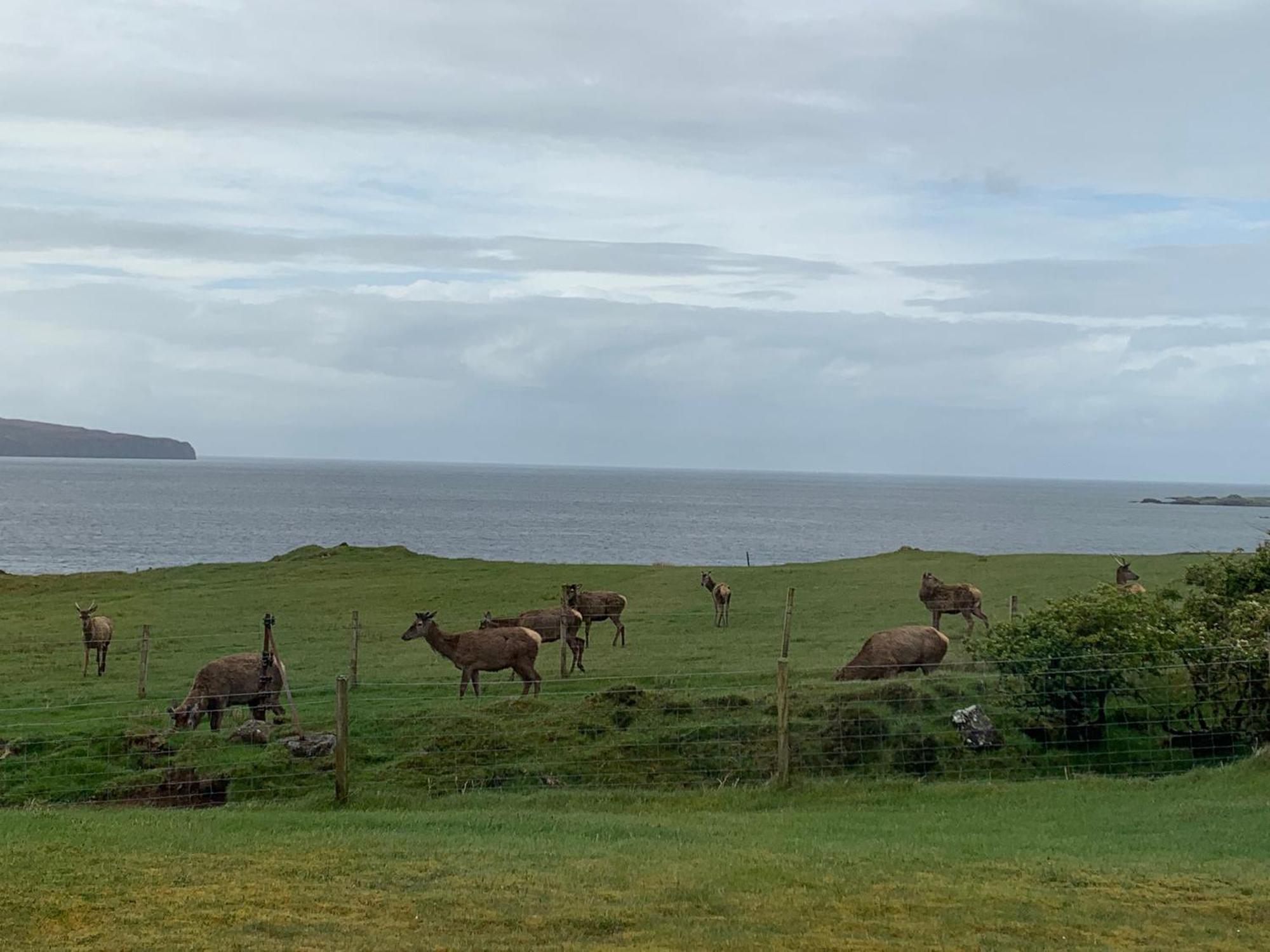 Coral Cabins Dunvegan  Pokoj fotografie
